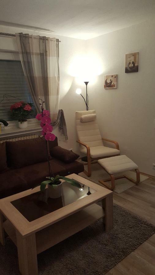 Ochmanns Ferienwohnung Meschede Esterno foto