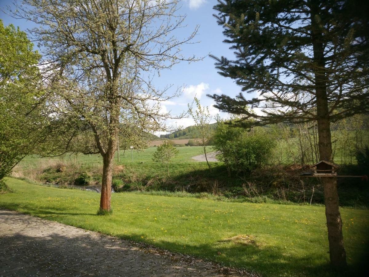 Ochmanns Ferienwohnung Meschede Esterno foto